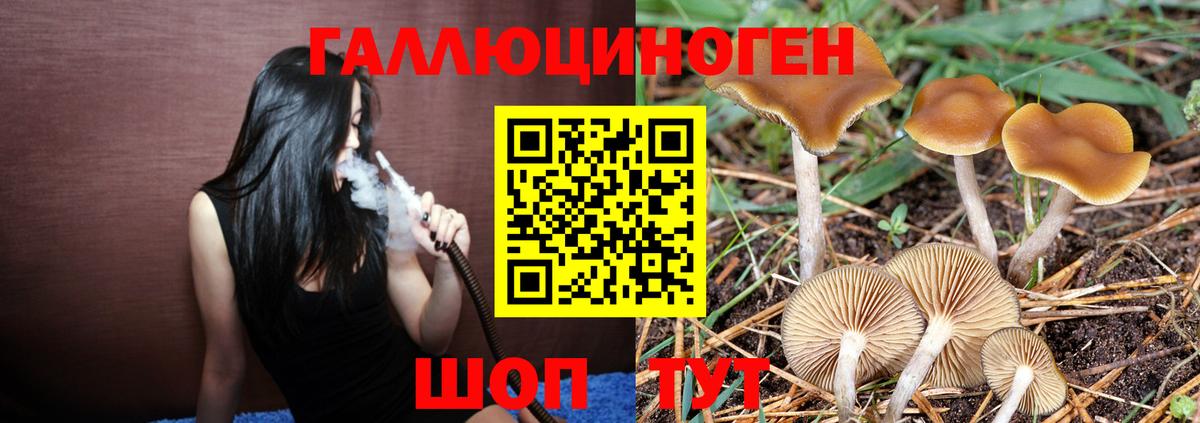 Галлюциногенные грибы мицелий Сибай